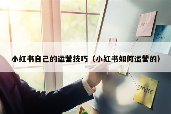 小红书自己的运营技巧（小红书如何运营的）