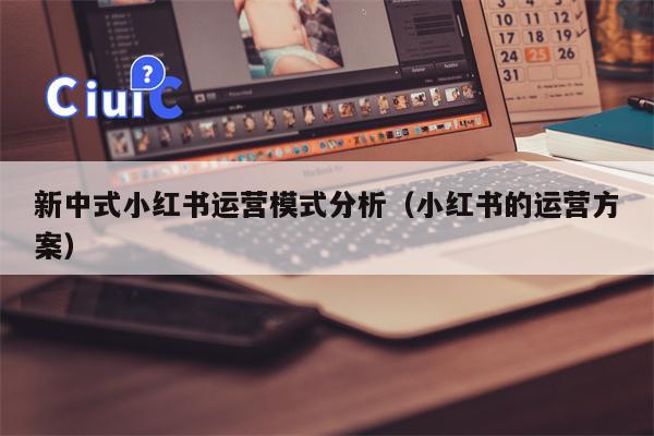 新中式小红书运营模式分析（小红书的运营方案）