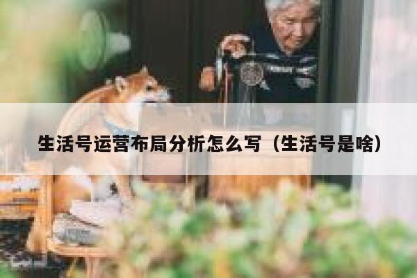 生活号运营布局分析怎么写（生活号是啥）