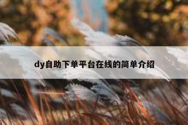 dy自助下单平台在线的简单介绍