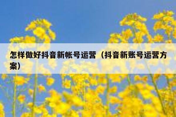 怎样做好抖音新帐号运营（抖音新账号运营方案）