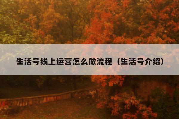 生活号线上运营怎么做流程（生活号介绍）