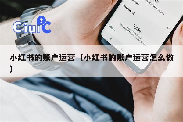 小红书的账户运营（小红书的账户运营怎么做）