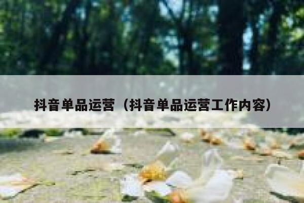 抖音单品运营（抖音单品运营工作内容）