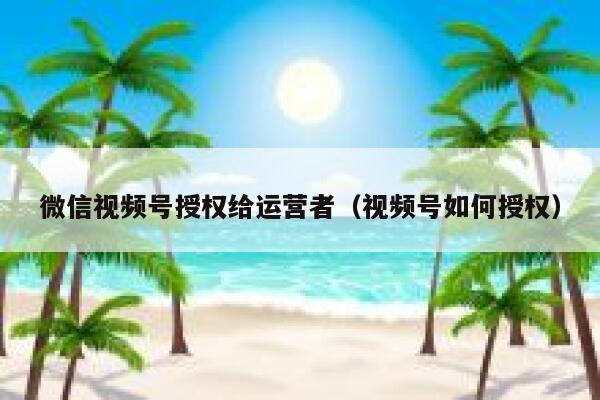 微信视频号授权给运营者（视频号如何授权）