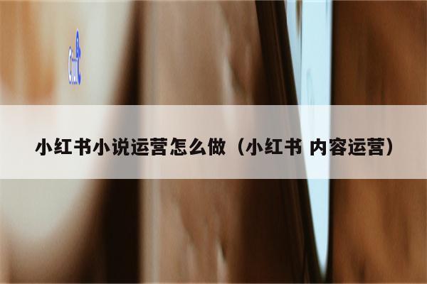 小红书小说运营怎么做（小红书 内容运营）