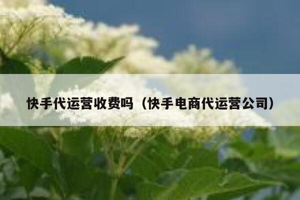 快手代运营收费吗（快手电商代运营公司）