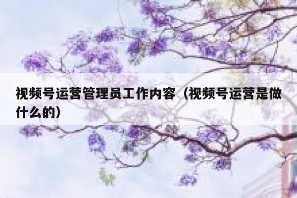 视频号运营管理员工作内容（视频号运营是做什么的）