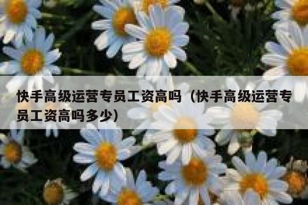 快手高级运营专员工资高吗（快手高级运营专员工资高吗多少）