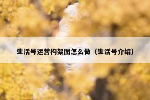 生活号运营构架图怎么做（生活号介绍）
