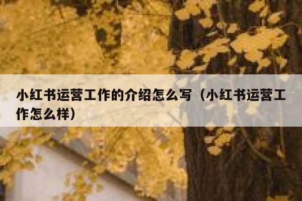 小红书运营工作的介绍怎么写（小红书运营工作怎么样）
