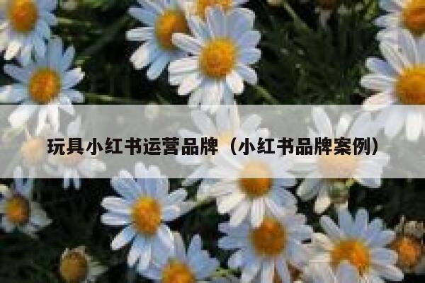 玩具小红书运营品牌（小红书品牌案例）