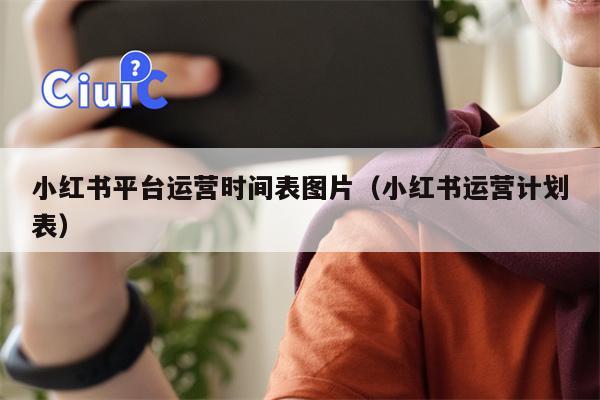 小红书平台运营时间表图片（小红书运营计划表）