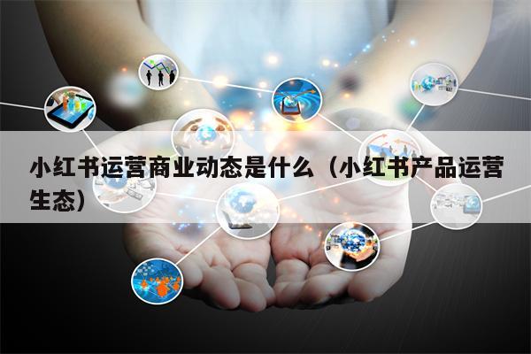 小红书运营商业动态是什么（小红书产品运营生态）