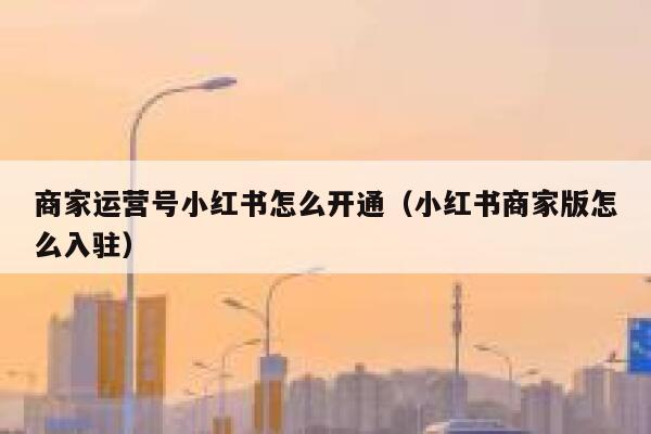 商家运营号小红书怎么开通（小红书商家版怎么入驻）