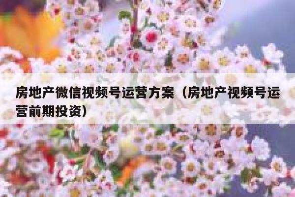 房地产微信视频号运营方案（房地产视频号运营前期投资）