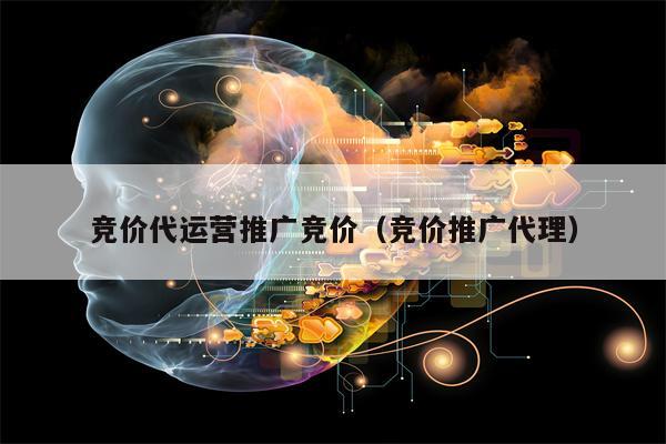竞价代运营推广竞价（竞价推广代理）
