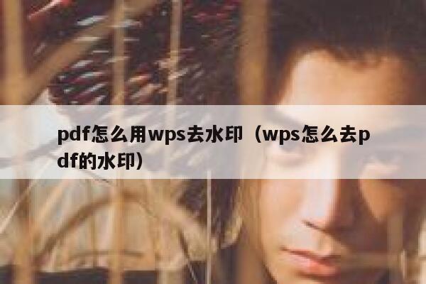 pdf怎么用wps去水印（wps怎么去pdf的水印）