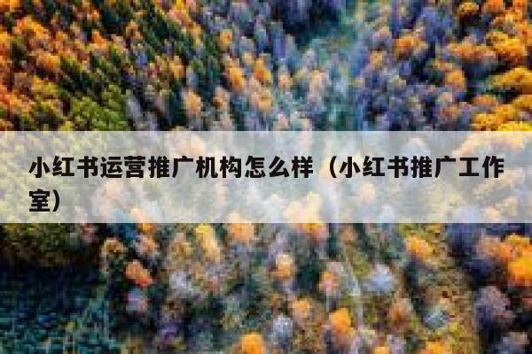 小红书运营推广机构怎么样（小红书推广工作室）