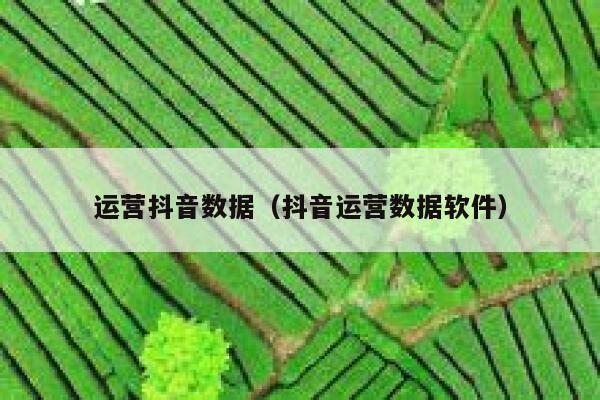 运营抖音数据（抖音运营数据软件）