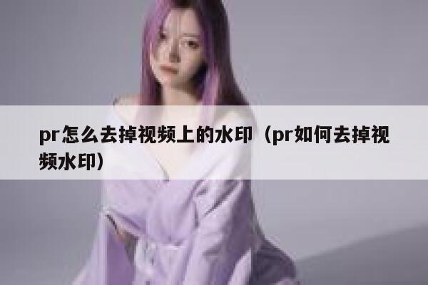 pr怎么去掉视频上的水印（pr如何去掉视频水印）