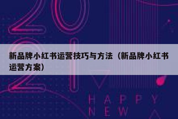 新品牌小红书运营技巧与方法（新品牌小红书运营方案）