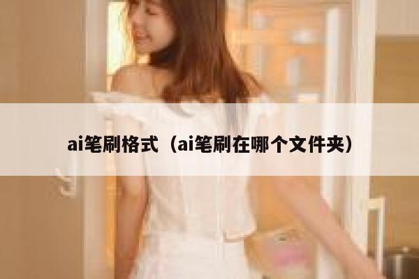 ai笔刷格式（ai笔刷在哪个文件夹）
