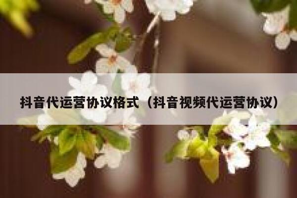 抖音代运营协议格式（抖音视频代运营协议）