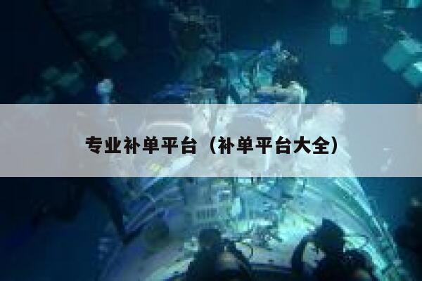 专业补单平台（补单平台大全）