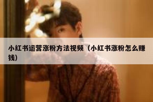 小红书运营涨粉方法视频（小红书涨粉怎么赚钱）
