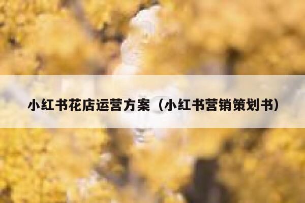 小红书花店运营方案（小红书营销策划书）