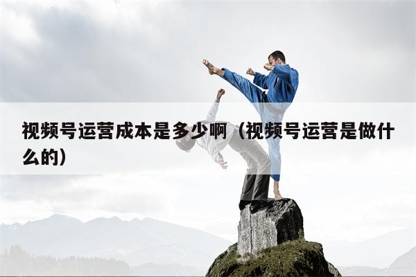视频号运营成本是多少啊（视频号运营是做什么的）