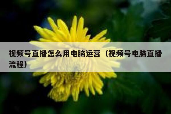 视频号直播怎么用电脑运营（视频号电脑直播流程）