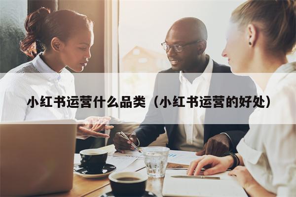 小红书运营什么品类（小红书运营的好处）