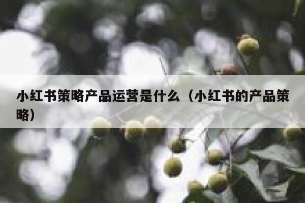 小红书策略产品运营是什么（小红书的产品策略）