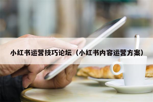 小红书运营技巧论坛（小红书内容运营方案）