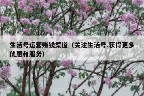 生活号运营赚钱渠道（关注生活号,获得更多优惠和服务）