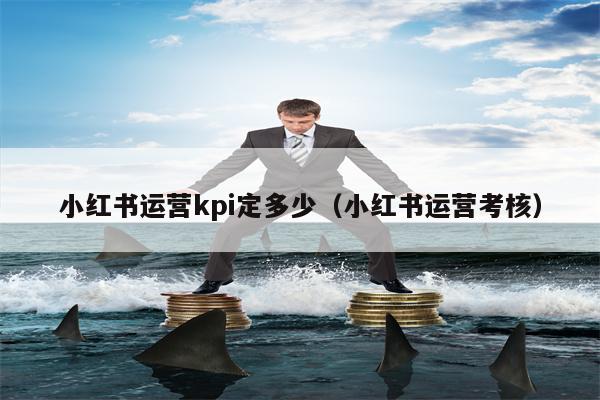 小红书运营kpi定多少（小红书运营考核）