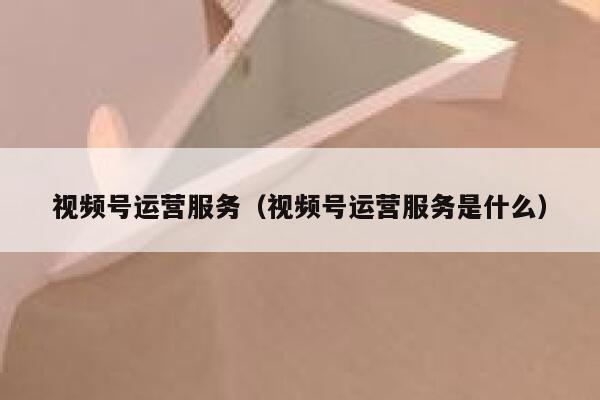 视频号运营服务（视频号运营服务是什么）