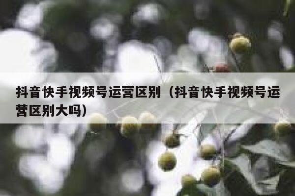 抖音快手视频号运营区别（抖音快手视频号运营区别大吗）