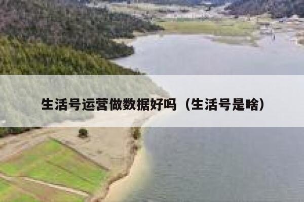 生活号运营做数据好吗（生活号是啥）