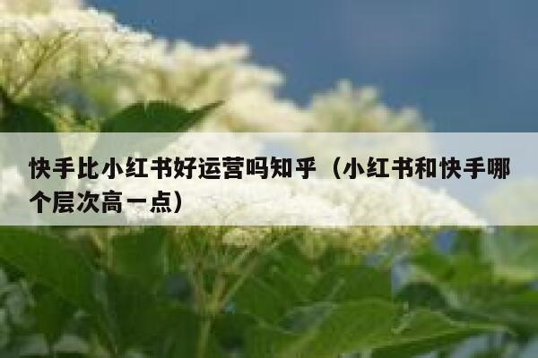 快手比小红书好运营吗知乎（小红书和快手哪个层次高一点）