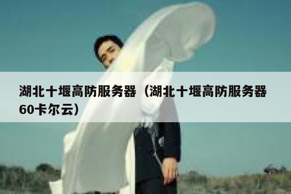 湖北十堰高防服务器（湖北十堰高防服务器 60卡尔云）