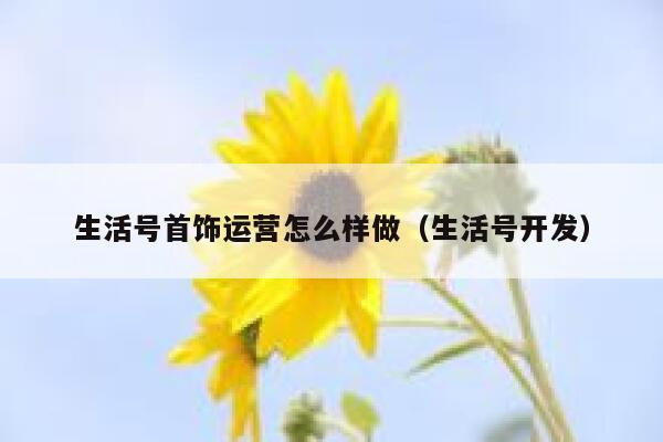 生活号首饰运营怎么样做（生活号开发）