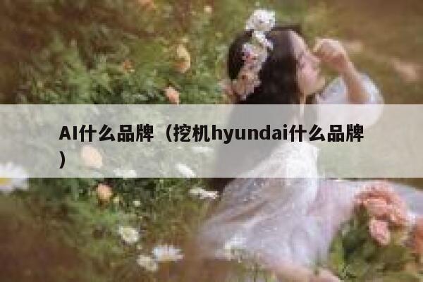 AI什么品牌（挖机hyundai什么品牌）