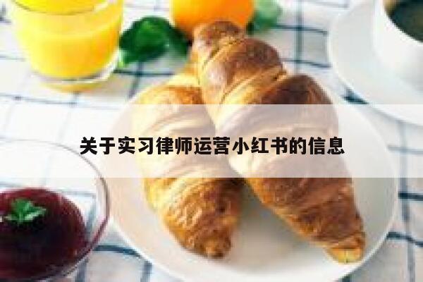 关于实习律师运营小红书的信息