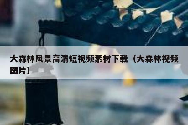 大森林风景高清短视频素材下载（大森林视频图片）