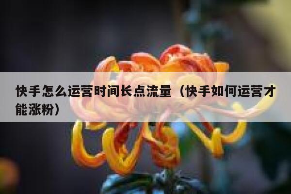 快手怎么运营时间长点流量（快手如何运营才能涨粉）