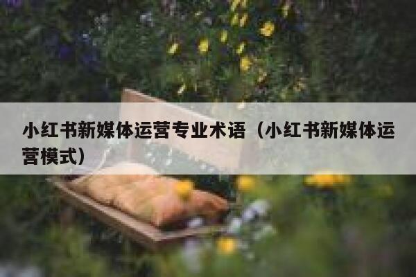 小红书新媒体运营专业术语（小红书新媒体运营模式）