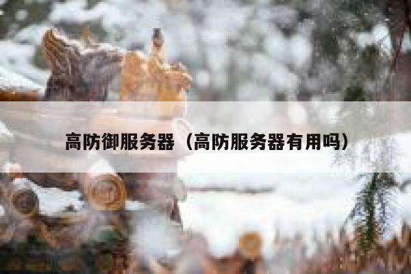高防御服务器（高防服务器有用吗）